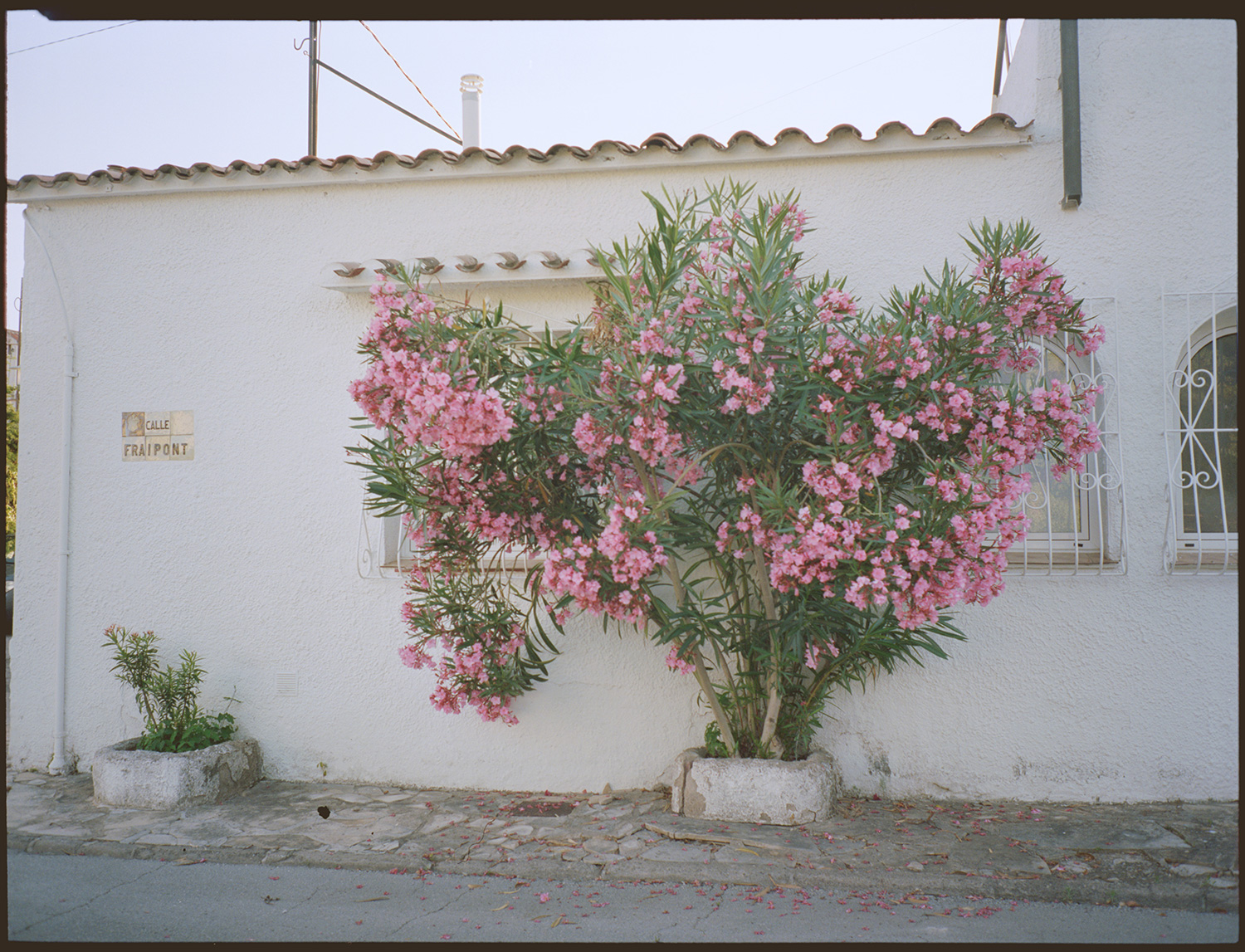 test_002