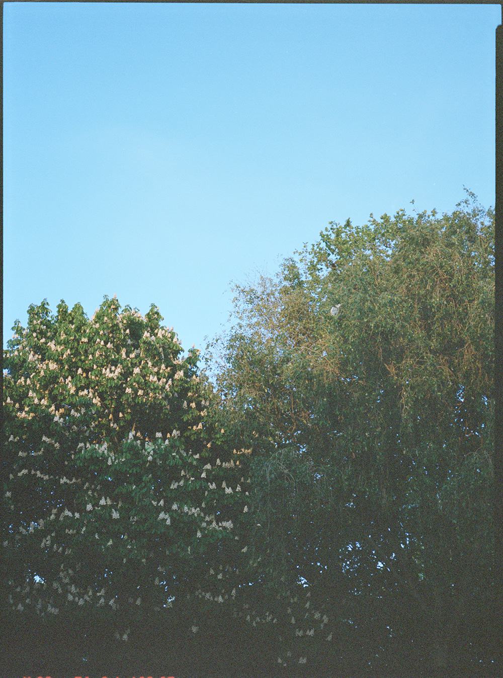 201706London_02