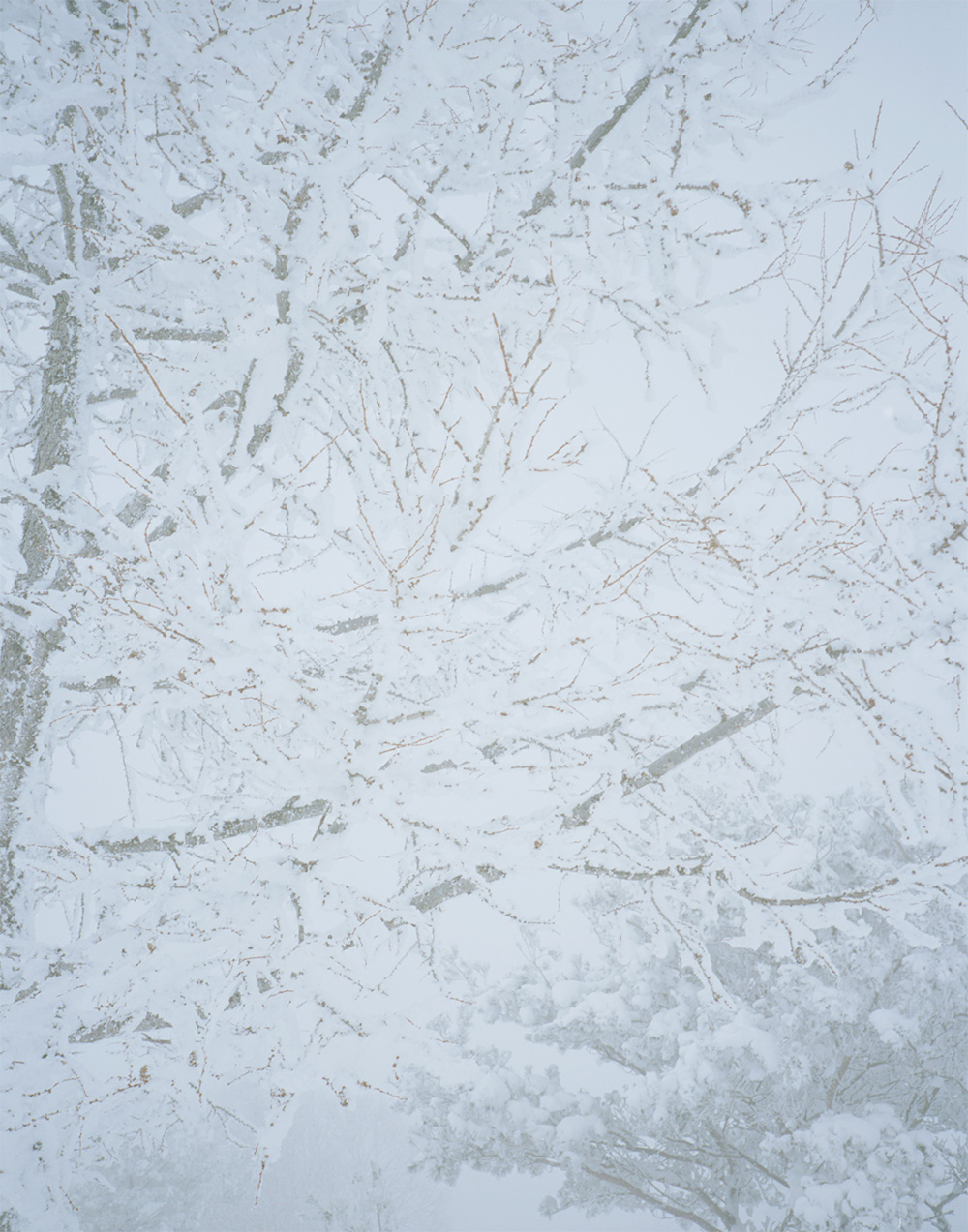 0125Snowing008