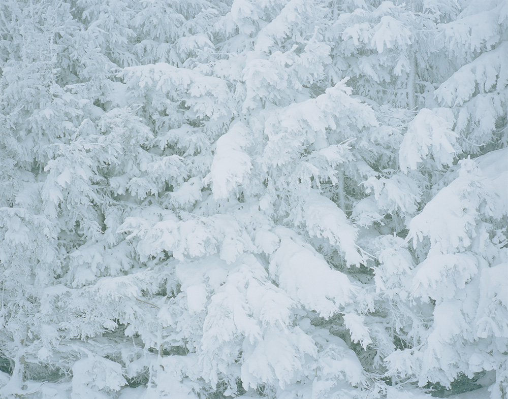 0125Snowing036