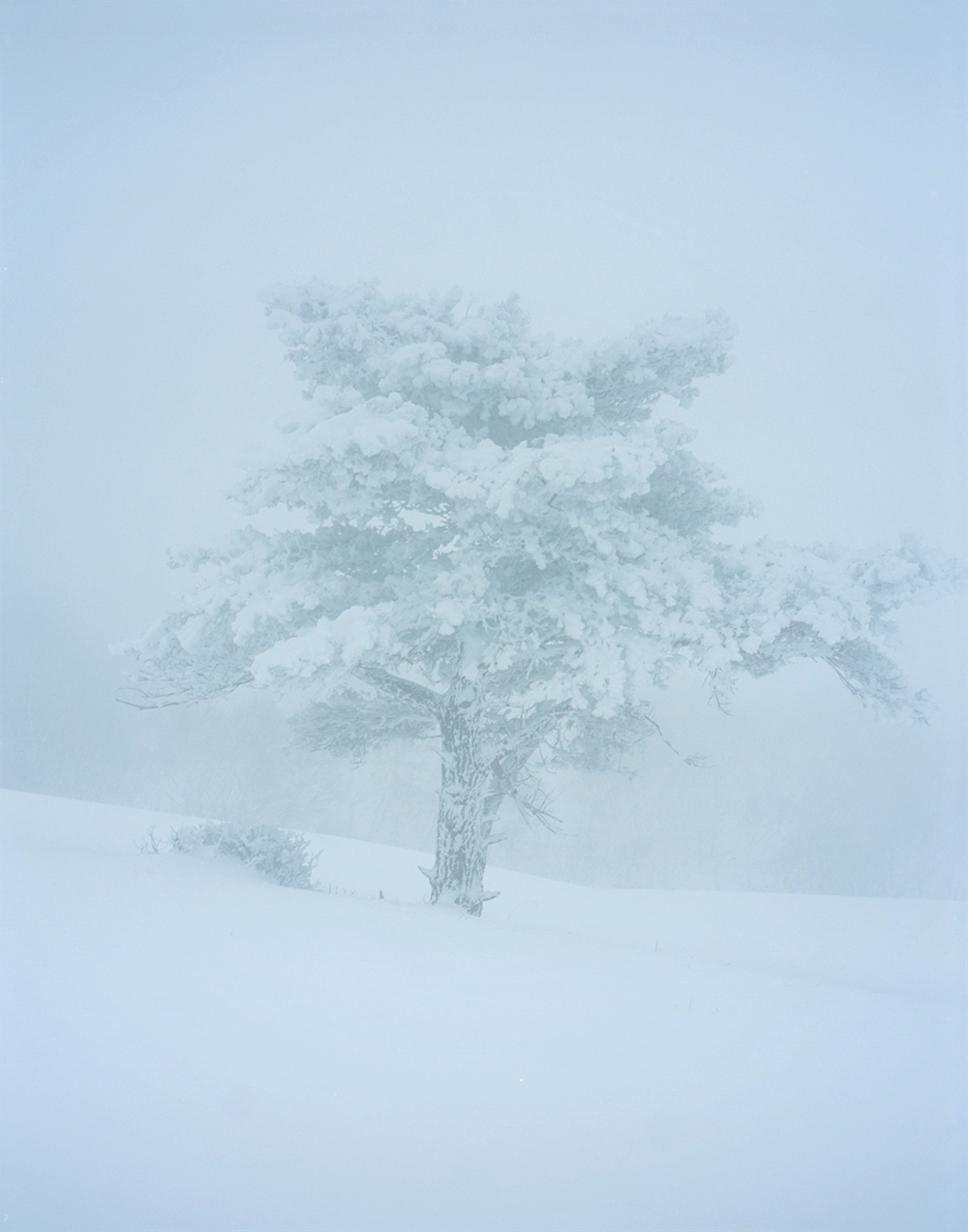 0125Snowing047