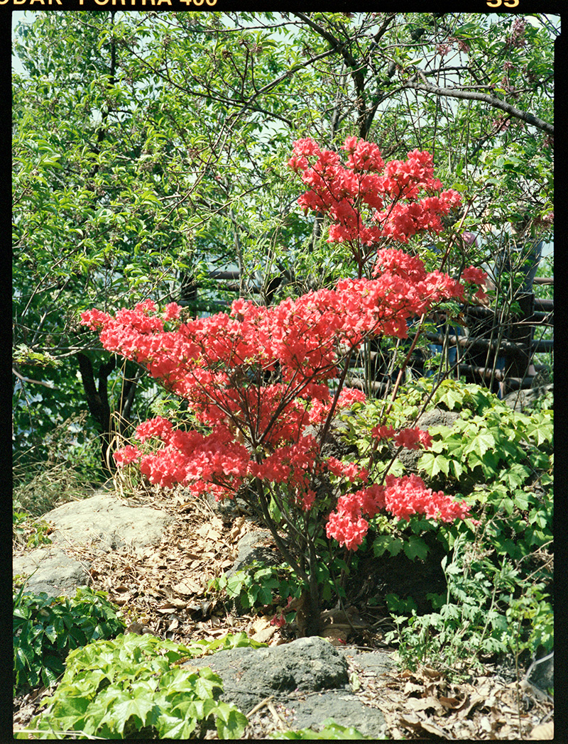 Korea201704_040