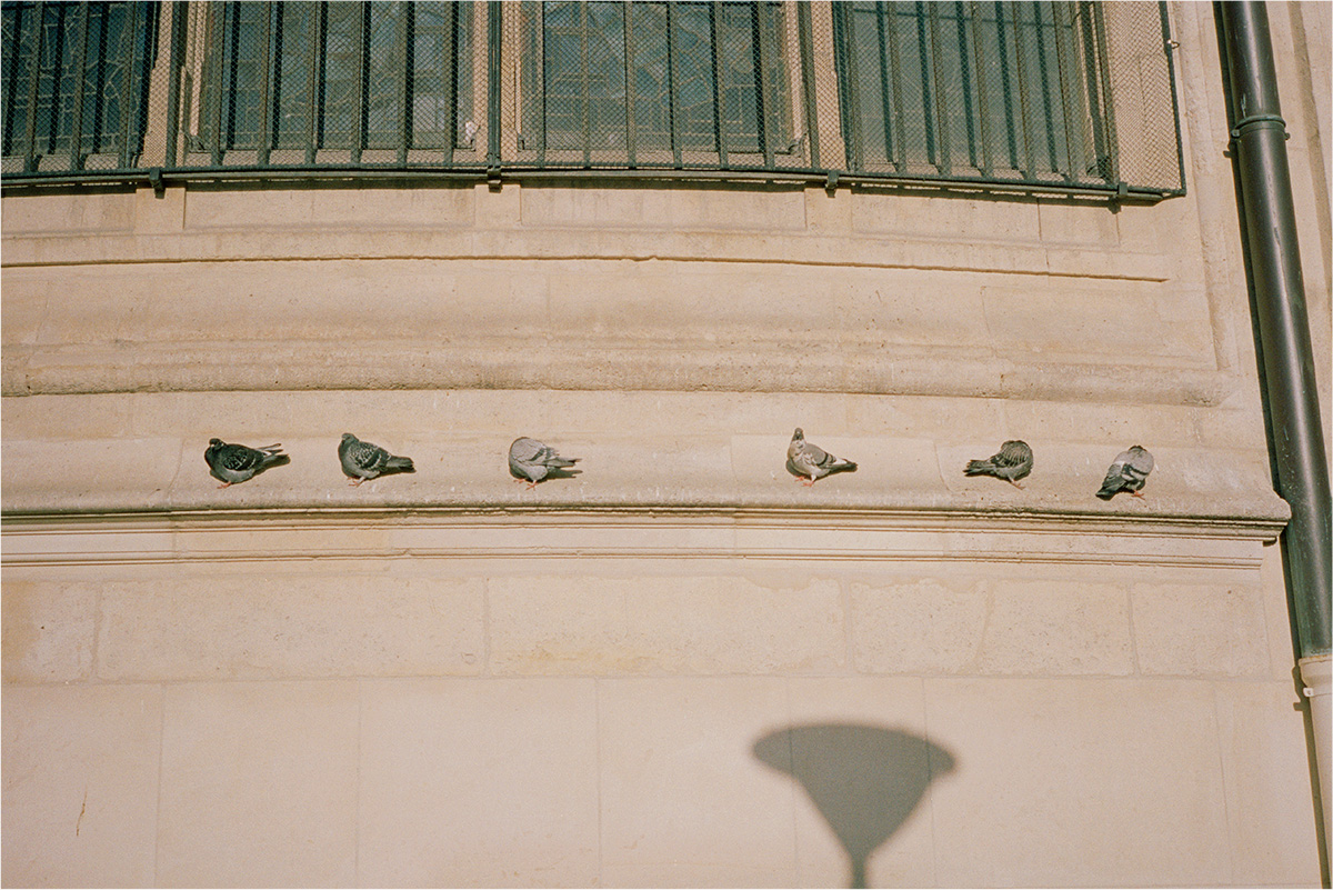 0117Paris002