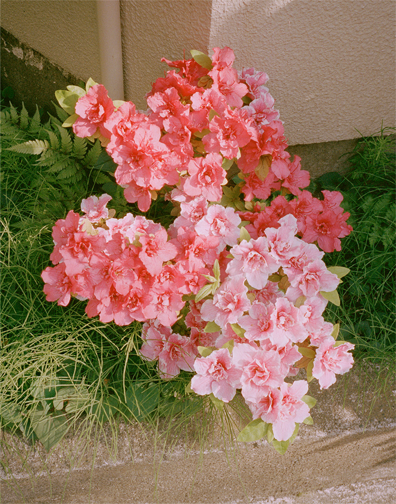 0424Tokyo001