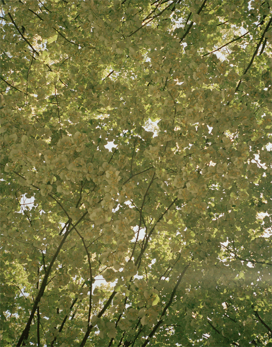 0623Paris005