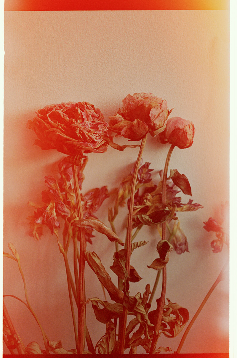 0808SarahSaxinger029