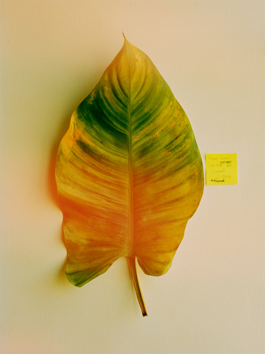 0827Test002