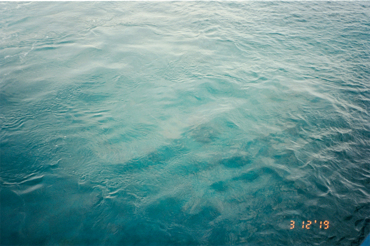 1203Malta008