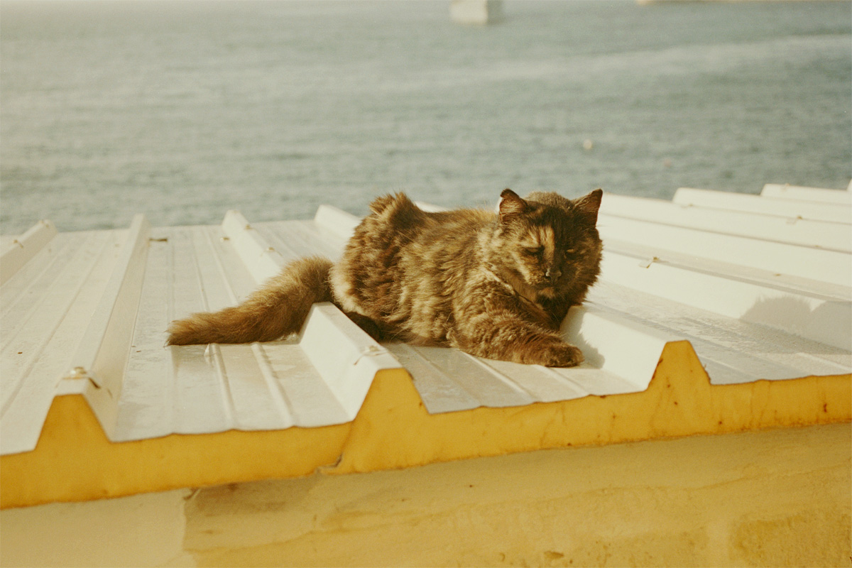 1203Malta023