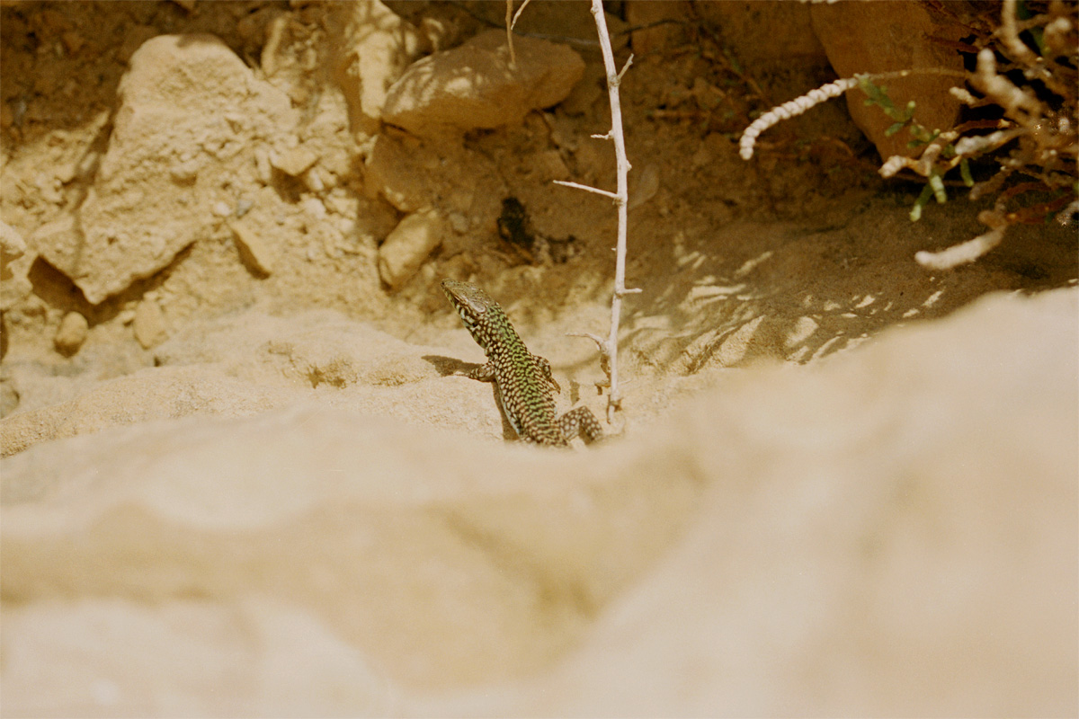 1203Malta042