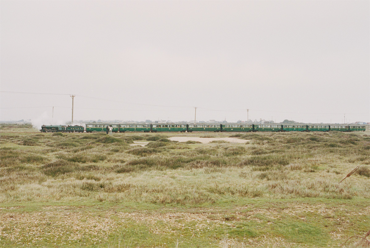 0125Dungeness002