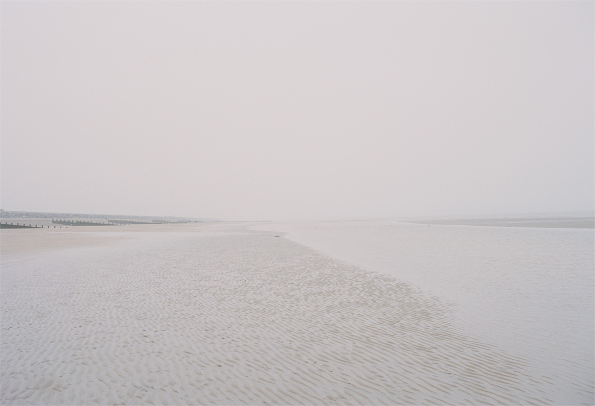 0125Dungeness021