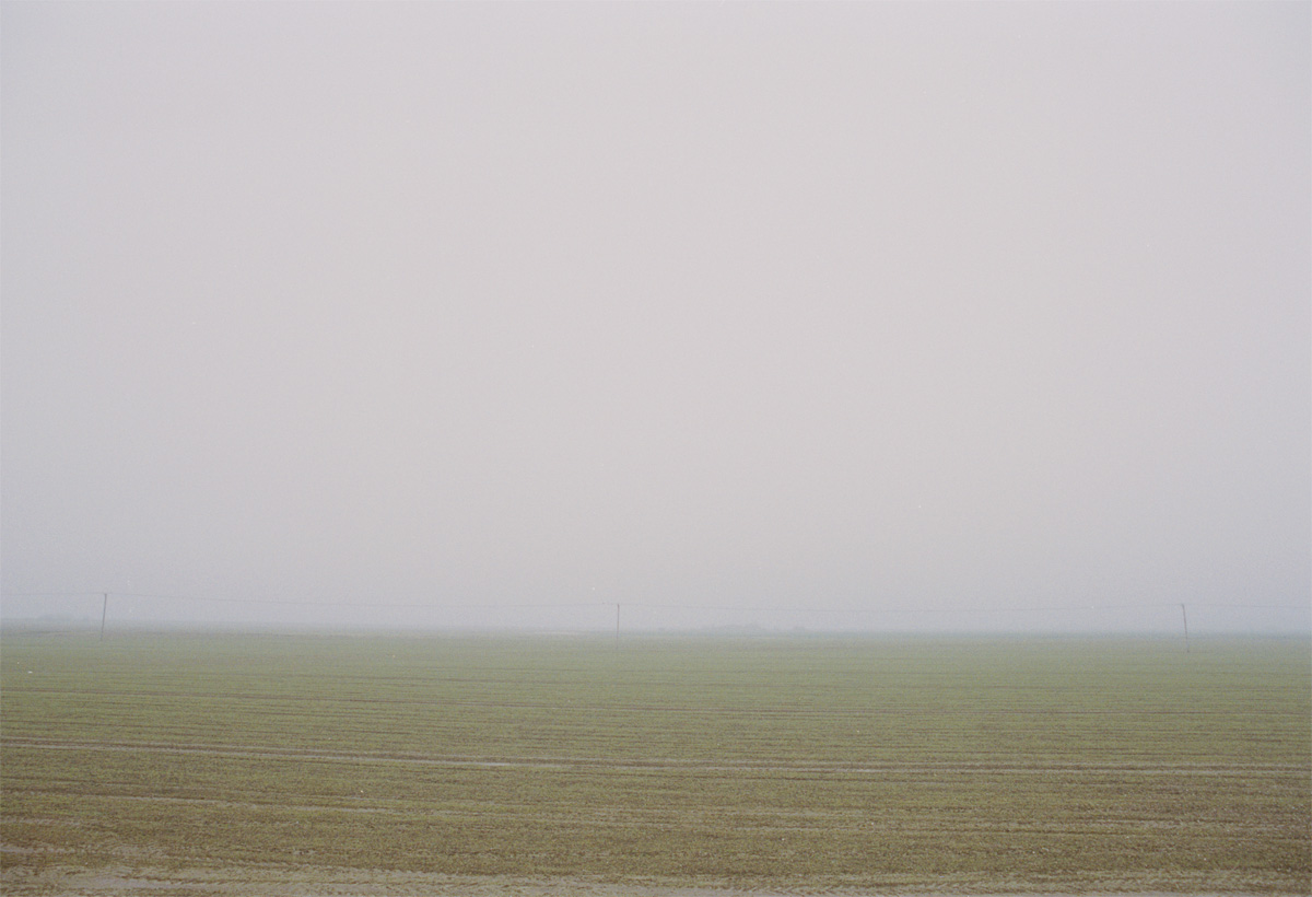 0125Dungeness022