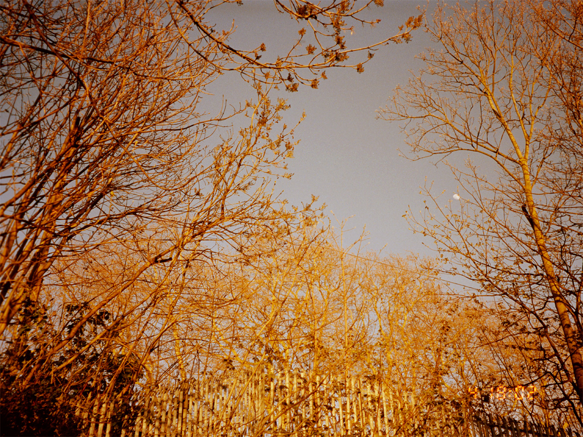 0404London009