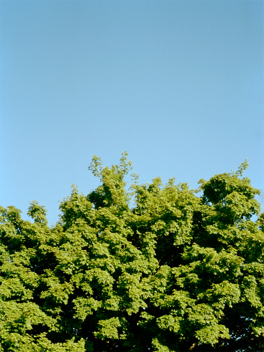 0425London077