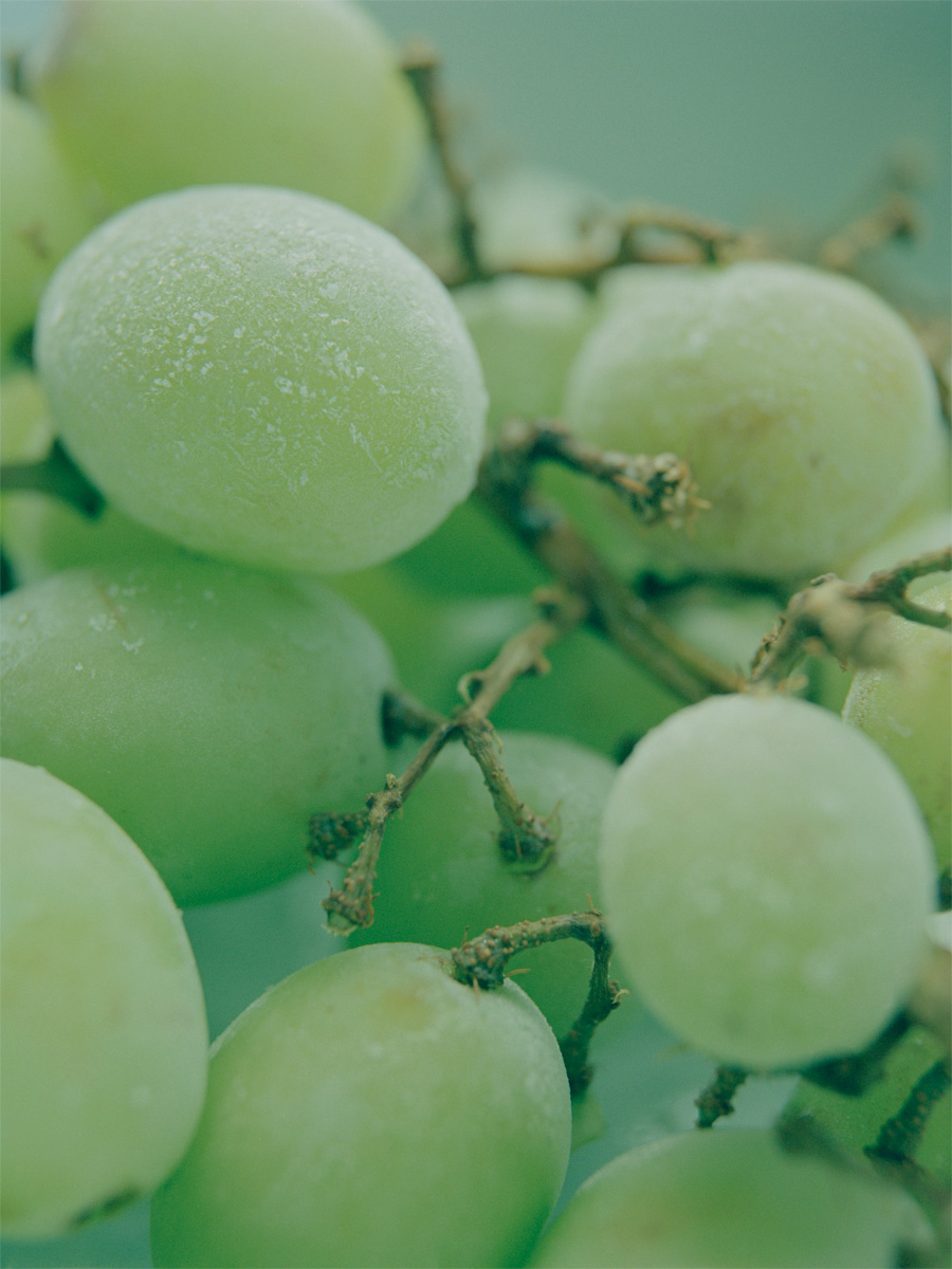 0526Grape001